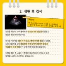 오디세이 동물심장내과 이미지