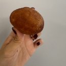 낭중애사과닭강정 이미지