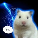 네일 프롤로그
