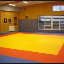 용인대유도체육관 이미지