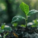 현대그린텍 이미지