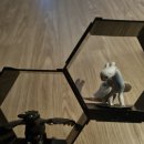 영등포 cgv 드래곤길들이기 실사화 후기