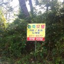 송죽모텔 이미지