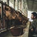 영화목장 이미지