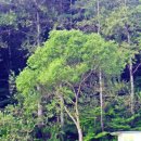 봉낚시터 이미지