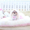 아콩하우스 이미지