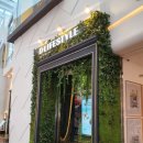 디라이프 이미지