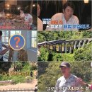 지니어스투어 - 강남구 언주로86길 31 | 지니어스투어