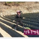 아주1차 이미지