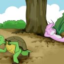 토끼와거북이 이미지