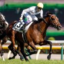 통산2목장 이미지