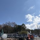 홍시 | 홍천맛집 비발디파크 소노펫 근처 반려동물 동반과 운동장 개별 룸까지 완벽한 홍시 후기