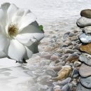 효자한의원 이미지