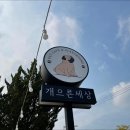 애견세상 - 1217 | 애견세상