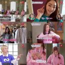 슈어홀릭 이미지