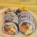 큰손맛집 | 부산 김밥 맛집 해운대 큰손김밥｜전국김밥일주 보고 찾아간 솔직 후기 (feat. 앵무새 앵두)