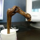 도장중 앞 이미지