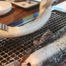 참맛장어 이미지