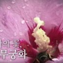 8. 8. 무궁화의 날! 이미지