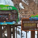 어비숲민박 이미지