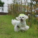 하얀울공원 이미지