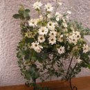 우림교회 이미지