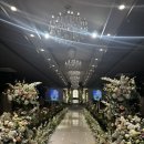 블루홀 | 영등포웨딩홀 베뉴비안 블루홀 예식장 하객 방문후기