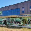 영암곤충박물관 이미지