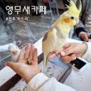 버드리전주 이미지