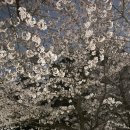 논현로5길 11 이미지