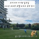 용호 Sea-Side 관광지 | 오리온 모토부 리조트 5박6일 꼼꼼 후기 아이랑 갈만한 북부 호텔 추천 룸컨디션 가격 조식 수영장 총정리