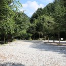 솔향가득 봉화캠핑장 이미지