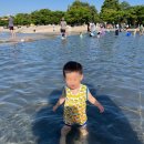 비에이치씨한강여의도 | [서울 무료 물놀이터] 여의도 한강공원 물빛광장 물놀이터 후기 (여의도 한강공원 주차 꿀팁)