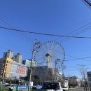 (주)호텔롯데 롯데시티호텔울산 | 울산롯데시티호텔 스탠다드 트윈 내돈내산 후기 피트니스센터 주차