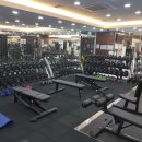 청룡스포츠 이미지
