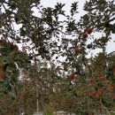 마한농장 이미지