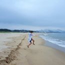 에메랄드 Daum카페