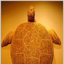 세계조개박물관 이미지