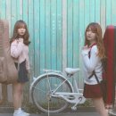 새벽 티브이데일리