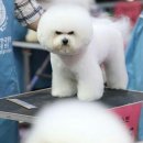 나도