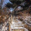 안용주골 이미지