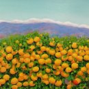 대가야센터-7 이미지