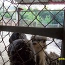 번개목장 이미지