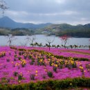 요산마을 이미지