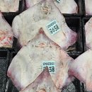 암치도 티스토리