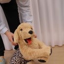 속옷사랑 - 상주시 상산로 327 | 끝판왕 남자드로즈팬티 남자팬티 남자 속옷추천 실착 후기 29g의 기적 입은 듯 안 입은 듯한 모그라미...