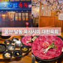 대한육회 | 울산 달동 뭉티기 육사시미 맛집 회식 장소로 좋은 대한육회