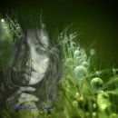 정열의 탱고 이미지