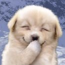 메킷해피 | 민빙하우스의 망각곡선 극복용 게시물(230114 몬스타엑스 쇼 음악중심 괜찮아 사녹 후기)