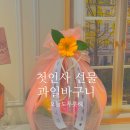 남자친구 부모님 첫인사 경주 과일바구니 오늘도프룻해 오늘도fruit해 내돈내산 후기 경주예단과일